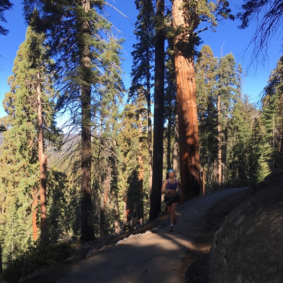 Meet your Posher, Grace - Picture 1 of 1